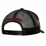 NBA Bulls Trucker Cap